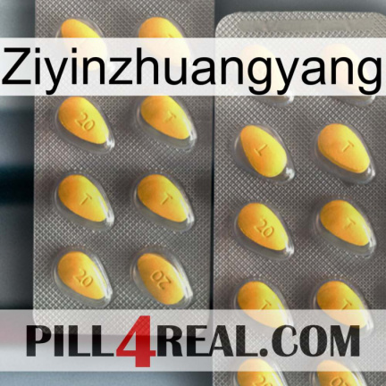 Ziyinzhuangyang cialis2